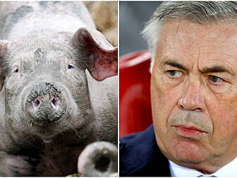 'Carlo had no problem slitting...